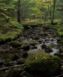 20190916_080539 (3) - Copy - Copy.jpg