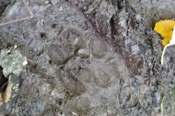 20190916_110026 (2) - Copy - Copy.jpg