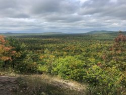 IMG_4614 - Copy - Copy.JPG