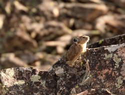 5J5A2087.JPG 5J5A2087.JPG