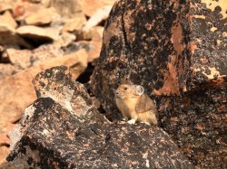 5J5A2093.JPG 5J5A2093.JPG