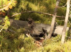 5J5A1302A.JPG 5J5A1302A.JPG