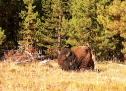 5J5A1174A.JPG 5J5A1174A.JPG