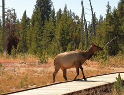 5J5A1977A.JPG 5J5A1977A.JPG