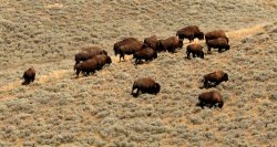 5J5A1987A.JPG 5J5A1987A.JPG