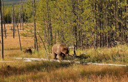 5J5A2042A.JPG 5J5A2042A.JPG