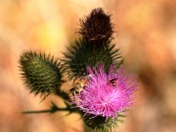 5J5A2130A.JPG 5J5A2130A.JPG