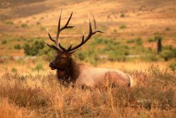 5J5A2224A.JPG 5J5A2224A.JPG