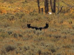 5J5A1995.JPG 5J5A1995.JPG