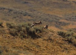 5J5A1999.JPG 5J5A1999.JPG