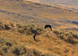 5J5A2013.JPG 5J5A2013.JPG