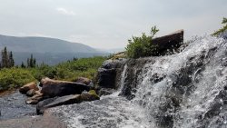 20190907_125109 (1).jpg