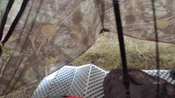 20190906_182016_dogs under vestibule_2.jpg