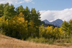 Autumn Primrose 10-20190028.jpg