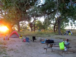 IMG_7710.JPG IMG_7710.JPG