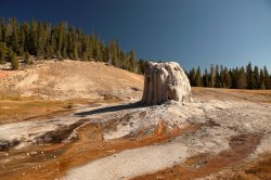 5J5A1171A.JPG 5J5A1171A.JPG