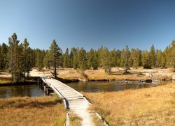 5J5A1175.JPG 5J5A1175.JPG