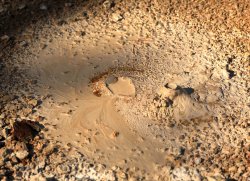 5J5A1177.JPG 5J5A1177.JPG