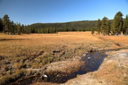 5J5A1181.JPG 5J5A1181.JPG