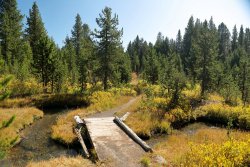 5J5A1184A.JPG 5J5A1184A.JPG