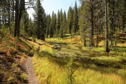 5J5A1185A.JPG 5J5A1185A.JPG