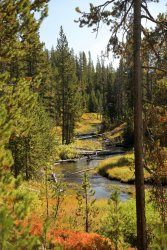 5J5A1193A.JPG 5J5A1193A.JPG