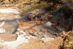 5J5A1201.JPG 5J5A1201.JPG