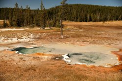 5J5A1203.JPG 5J5A1203.JPG