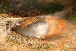 5J5A1207.JPG 5J5A1207.JPG