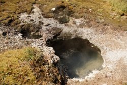 5J5A1209.JPG 5J5A1209.JPG