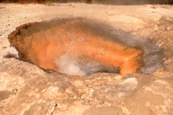 5J5A1213.JPG 5J5A1213.JPG