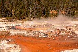 5J5A1221A.JPG 5J5A1221A.JPG