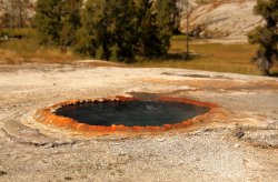 5J5A1244.JPG 5J5A1244.JPG