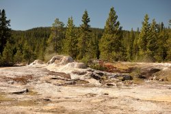 5J5A1245A.JPG 5J5A1245A.JPG