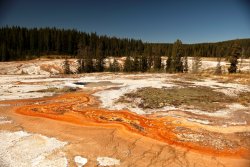 5J5A1247A.JPG 5J5A1247A.JPG