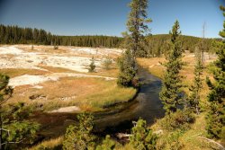 5J5A1252.JPG 5J5A1252.JPG