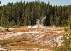 5J5A1266.JPG 5J5A1266.JPG