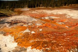 5J5A1199A.JPG 5J5A1199A.JPG