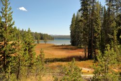 5J5A1285.JPG 5J5A1285.JPG