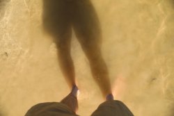 5J5A1290.JPG 5J5A1290.JPG