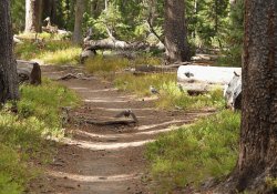 5J5A1298.JPG 5J5A1298.JPG