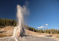 5J5A1324A.JPG 5J5A1324A.JPG