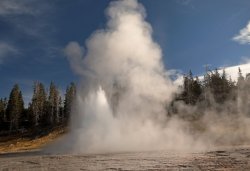 5J5A1503.JPG 5J5A1503.JPG