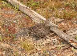 5J5A1610A.JPG 5J5A1610A.JPG