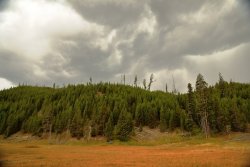 5J5A1631A.JPG 5J5A1631A.JPG