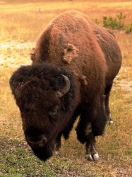 5J5A1637A.JPG 5J5A1637A.JPG