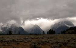 5J5A1702A.JPG 5J5A1702A.JPG