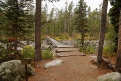 5J5A1712.JPG 5J5A1712.JPG