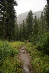 5J5A1716.JPG 5J5A1716.JPG