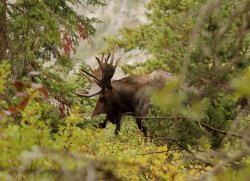 5J5A1723A.JPG 5J5A1723A.JPG